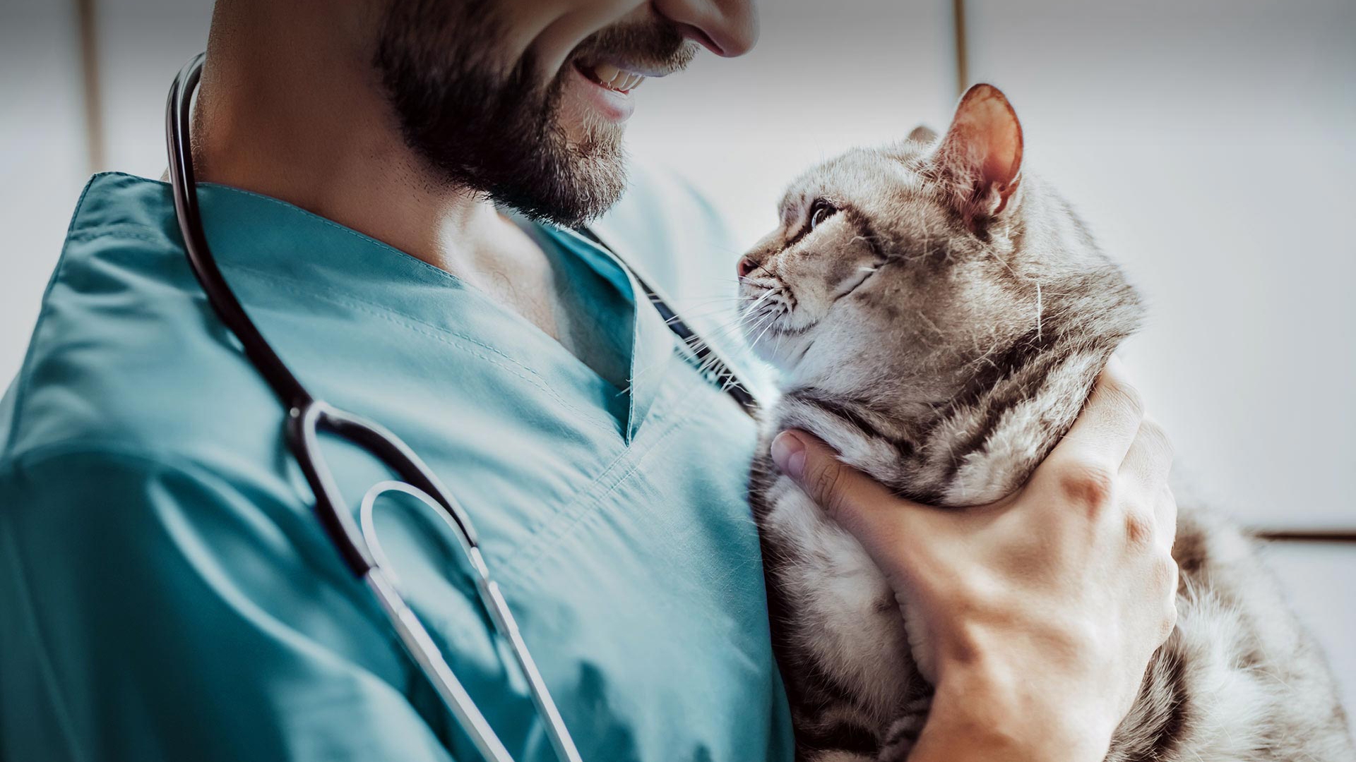 Yenimahalle Veteriner